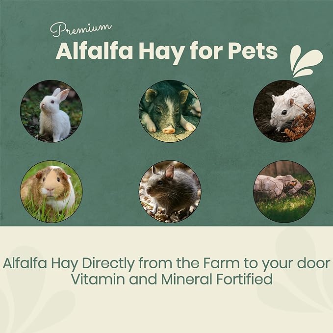 Fresh Alfalfa Hay 40Lbs by Bunny Honey - Natural Hay for Guinea Pigs, Rabbits, Hamsters, Hedgehogs, and More Small Animal Pets - Not Blended, Green Chopped & Delivered Fresh
