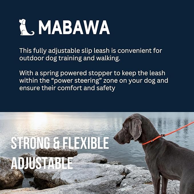 Dog Anti-Slip Leash 5FT with Metal Stopper - Durable No-Pull Training Lead for Small, Medium & Large Dogs - Comfortable Handle Nylon Rope, Tangle-Free Pet Walking Leash (Lake Blue, 5.6FT)