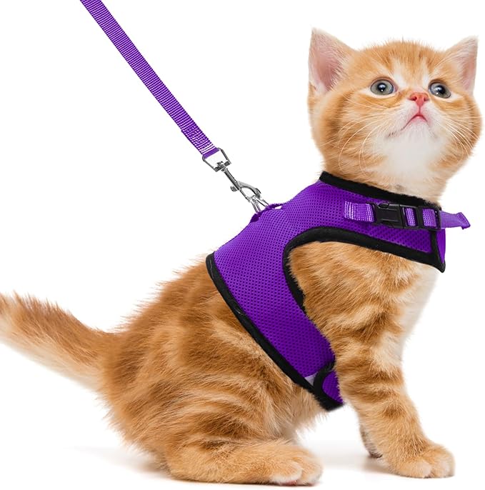 PUPTECK Soft Mesh Cat Vest Harness and Leash Set Puppy Padded Pet Harnesses Escape Proof for Cats Small Dogs Rabbits Bunny