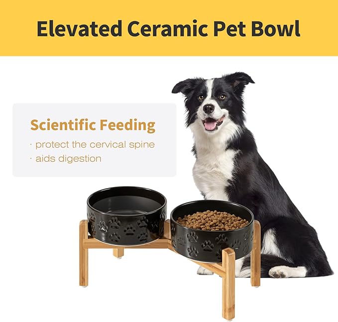 Elevated Ceramic Dog Bowls, 7.3" Dog Dishes with Stand, 5 Cup Elevated Food & Water Bowls for Medium Sized Dogs, Microwave Safe (Double Bowls + Stand - Black, 7.3 inch)