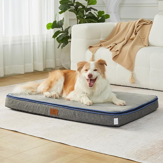 Memory Foam XL Dog Bed - 4” Thick Orthopedic Beds for Extra Large Dogs - Waterproof Dog Bed with Removable Washable Cover & Wrap-Around Zipper - Ultimate Comfort and Easy Maintenance
