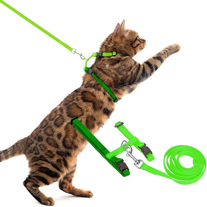 PUPTECK Adjustable Cat Harness and Leash Set Escape Proof Kitten Strap Collar for Walking Travel, Green