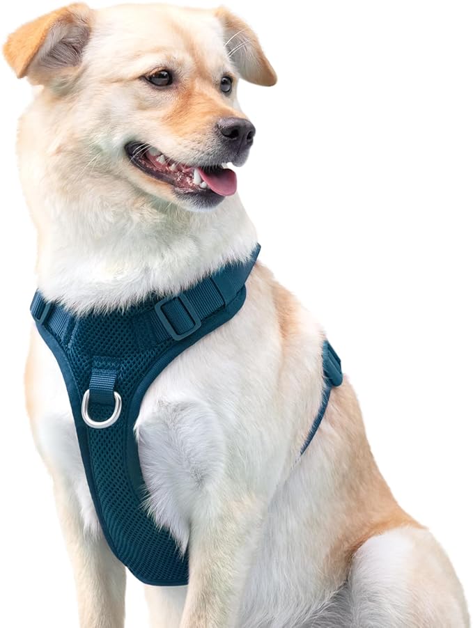 No Pull Dog Harness for Small Medium Large Dogs - Adjustable Two-Layer Mesh Dog Vest with Dual Clip, Escape Proof, Quick Release, Lightweight Breathable Mesh for Walking Hiking (Prussian Blue,M)