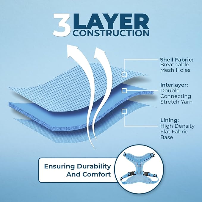 Voyager Step-in Lock Adjustable Cat Harness w. Cat Leash Combo Set with Neoprene Handle 5ft - Supports Small, Medium and Large Breed Cats by Best Pet Supplies - Baby Blue, XS