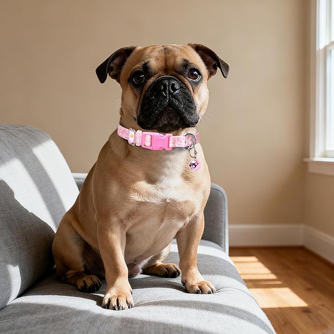 Pink Small Dog Collar with Bell -Nylon Collar for Chihuahua Pomeranian Yorkie, Adjustable XXS/XS for Walks & Daily Play (Daisy S)