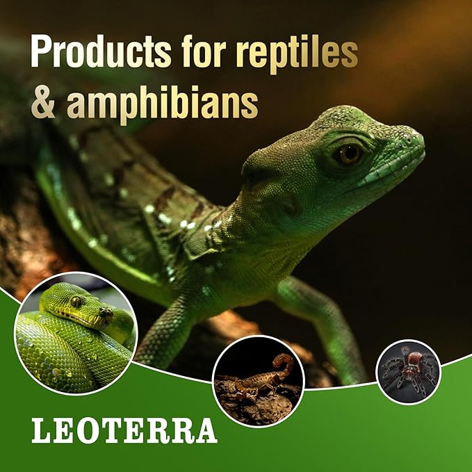 Leoterra Night Heat Lamp for Reptiles 2PACK 50W Heat Bulb Black Night Heat Light for Reptiles,120V E26 Base for Lizard Bearded Dragon Leopard Snake Turtle,Easy to Install and Replace