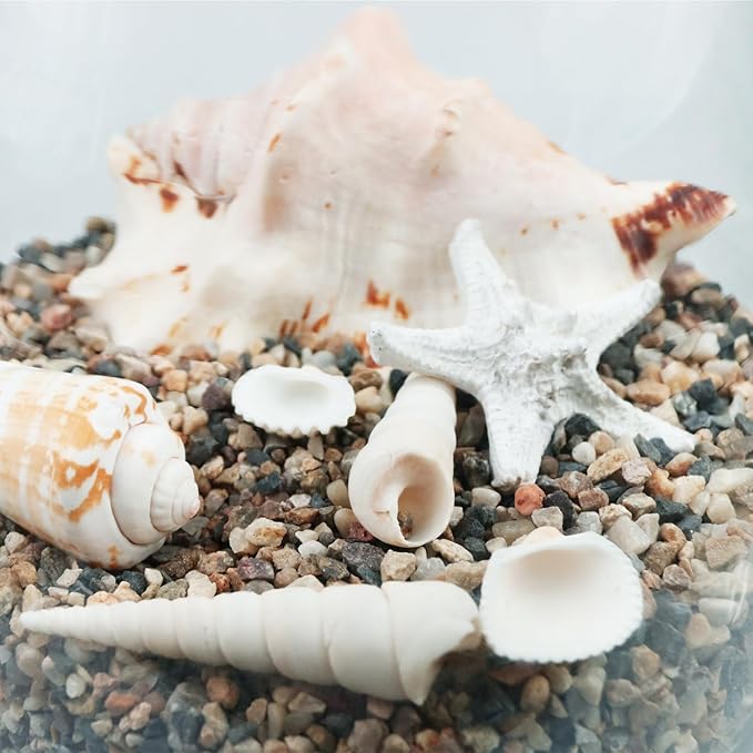 100% Natural Sand, Multi-Purpose Mixed Silica Sand for Fire Pits, Aquariums, and Landscaping, 5LB Large