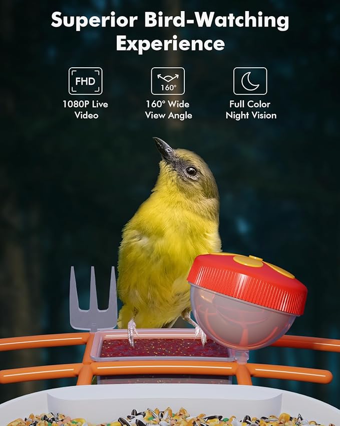 Dzees Smart Bird Feeder with Camera Solar Powered, Bird Watching, AI Identify Species, Auto Capture Videos, 2K HD Video, Ideal Gift for Family, Mother, Friends