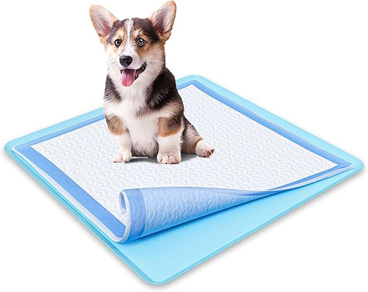 TidyFriend Dog Pee Pad Holder Tray Fits for 24” x 24” Wee Wee Pee Pads - Stable Grip, Raised Edges, Quick-Wipe Silicone Surface Dog Potty Tray Holder for Indoor Flooring Protection (Sky Blue)