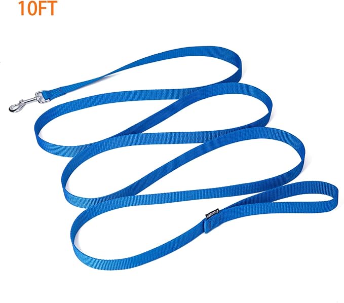 Strong Durable Nylon Dog Training Leash, 1 Inch Wide Traction Rope, 6 ft 10ft 15ft Long, for Small and Medium Dog (Blue, 10 Feet)