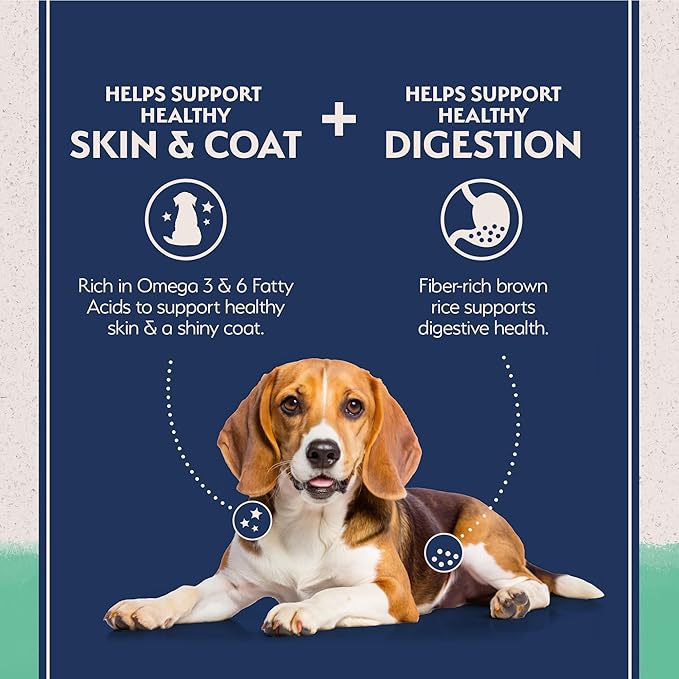 Natural Balance Limited Ingredient Adult Grain-Free Dry Dog Food, Chicken & Sweet Potato Recipe, 24 Pound (Pack of 1)