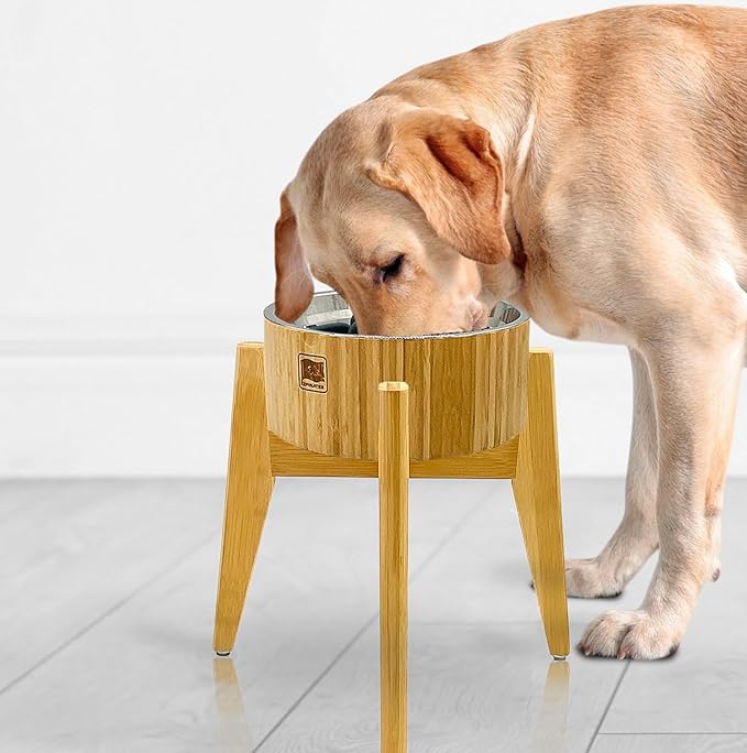 Slow Feeder Dog Bowls for Large Breed - 15-inch High Elevated, Raised Single Food Station - Detachable Parts, Suitable for Treats, Wet/Dry Pet Foods