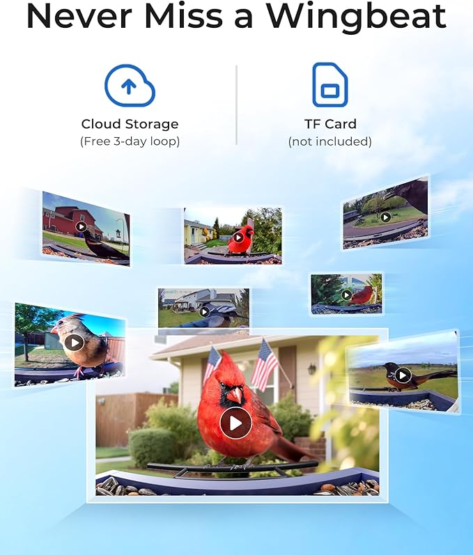 TT Nature Bird Feeder with Camera, Solar Powered Smart Birdhouse Cam with Auto Capture & Bird Identify, Instant Real-time Notifications, 1080P Cam, Gift for Outdoor Birdwatching, Flag Style