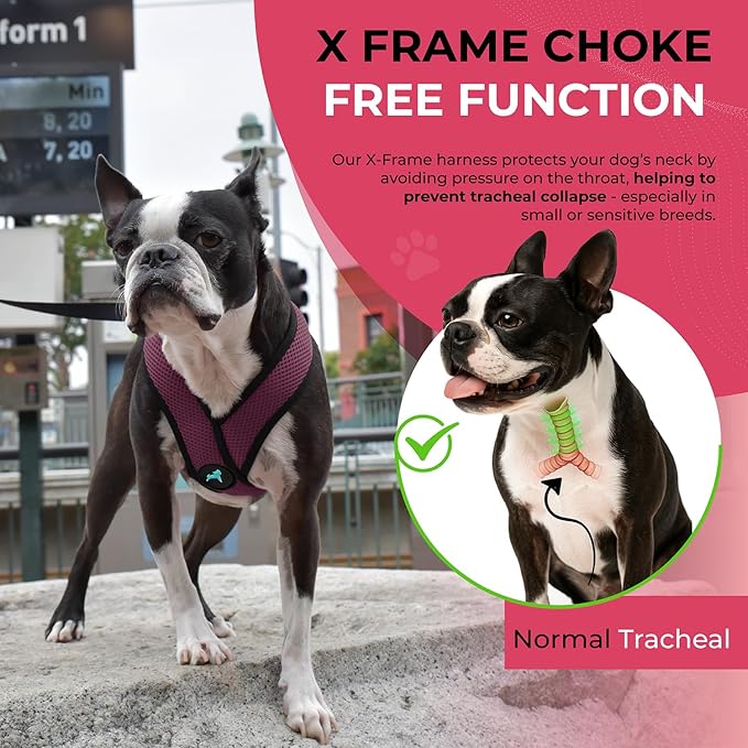 Gooby Comfort X Head In Harness - Purple, Large - No Pull Small Dog Harness Patented Choke-Free X Frame - Perfect on the Go Dog Harness for Medium Dogs No Pull or Small Dogs for Indoor and Outdoor Use