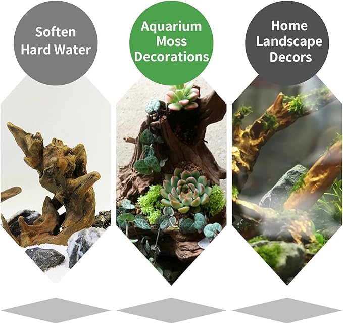 Hamiledyi 12Pcs Small Driftwood for Aquarium 4.1"-7.2" Driftwood Branches Aquarium Wood Decoration Natural Fish Tank Habitat Decor Wood for Lizard Assorted Size