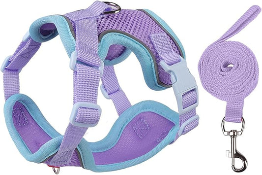 Cat Harness and Leash Set for Walking – Escape-Proof Reflective Vest for Cats and Small Dogs, Adjustable Soft Air Mesh with Pressure-Reducing Design, 4.92ft (Blue & Purple, L)