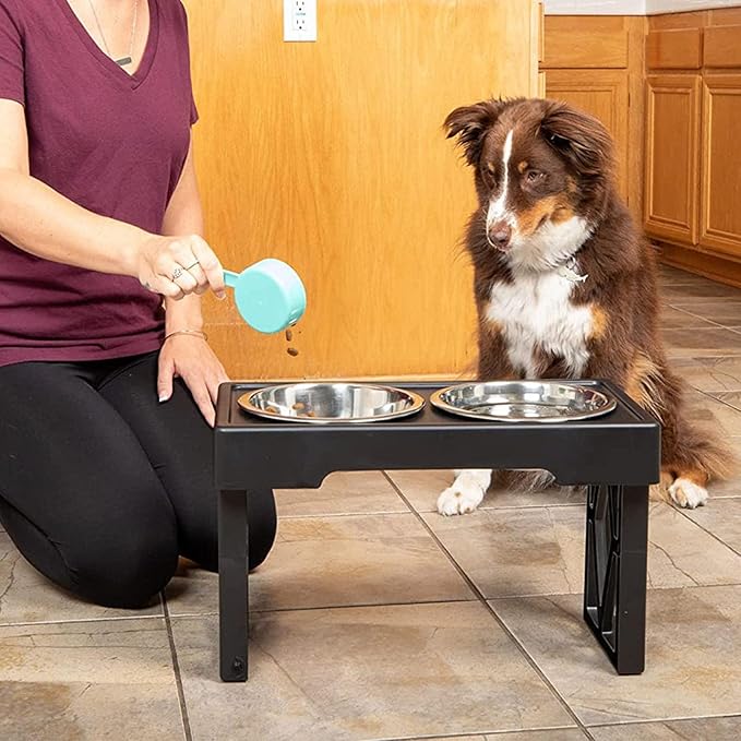 Elevated Adjustable Dog Bowls Prevent Slip Height Raised Stand with 2 Stainless Steel Food Bowls Dogs Cats Applicable Scene Home