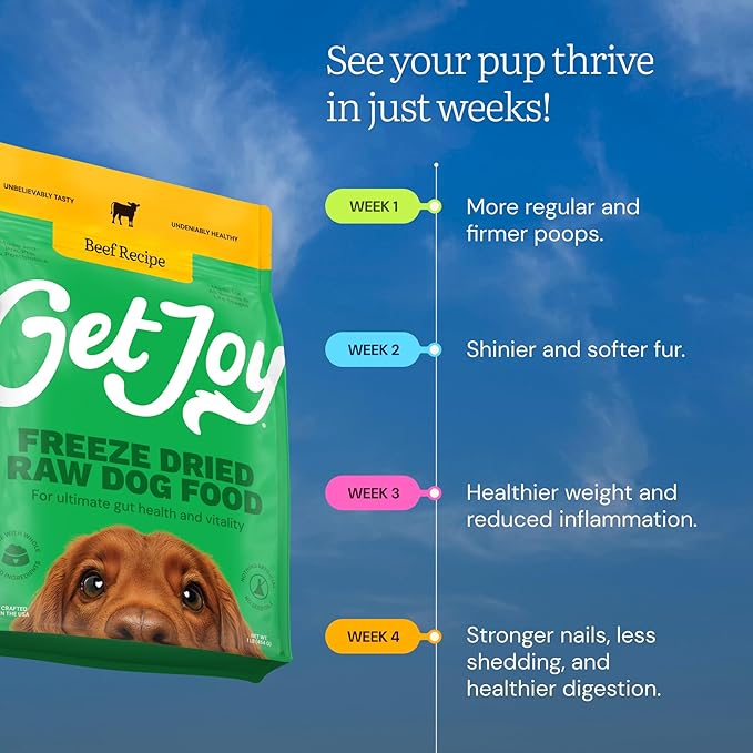 Get Joy Gut Health Fresh Freeze Dried Raw Meal, Beef Recipe, 32 Ounce Bag, Dog Food for Dogs of All Breeds and Life Stages, PhD Animal Nutritionist Formulated, USDA Beef, Made in USA
