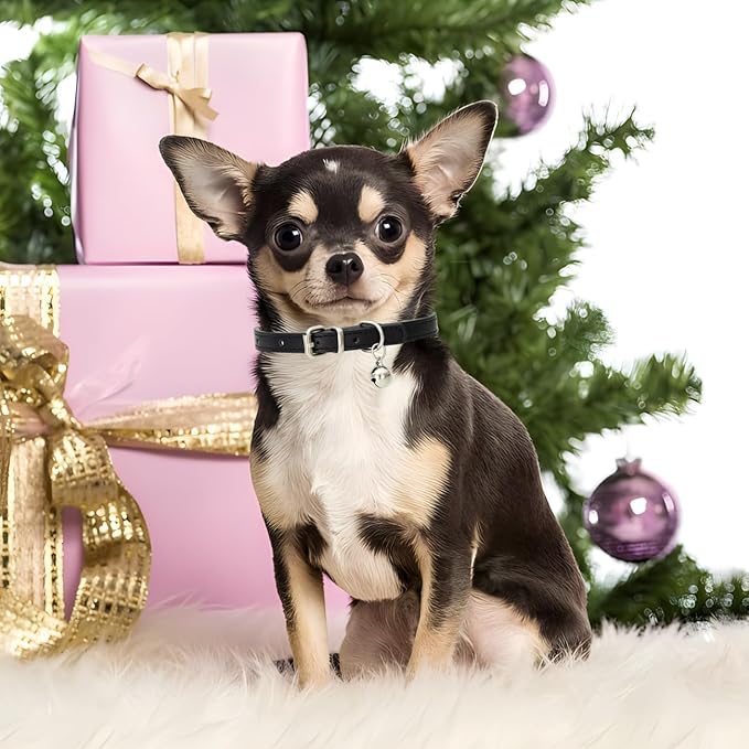 Purple XS Cat Collar with Bell, Soft Pu Leather Dog Collars Adjustable Buckle for XXS Extra Small Medium Tiny Female Male Boys Girls Pets Puppy Kitten Teacup Yorkie X-Small