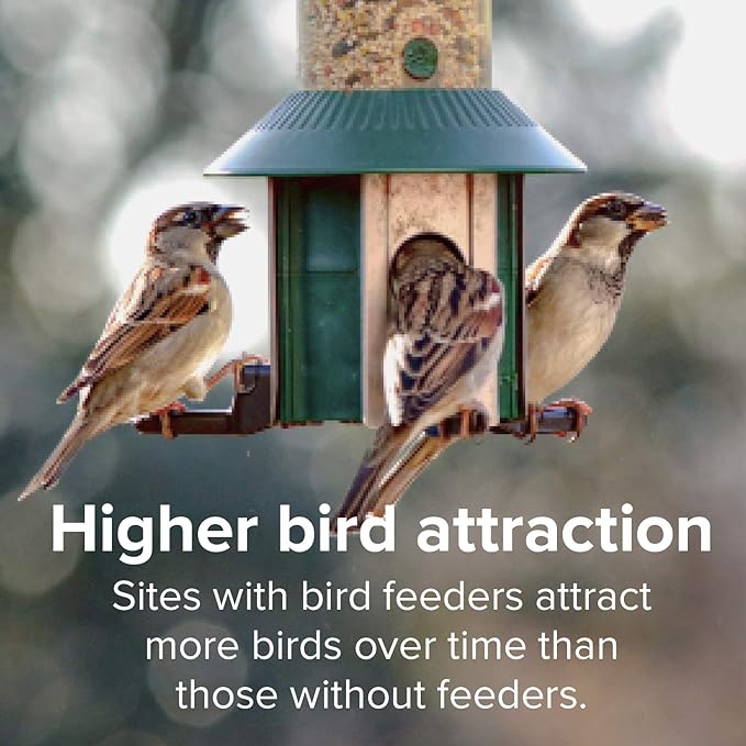 Blue Seal Song Maker Wild Bird Seed | Nutritious Blend, No Filler | Attracts a Wide Variety of Wild Outside Birds | Convenient Shell-Free Mix | Made in USA | 20 Pound Bag