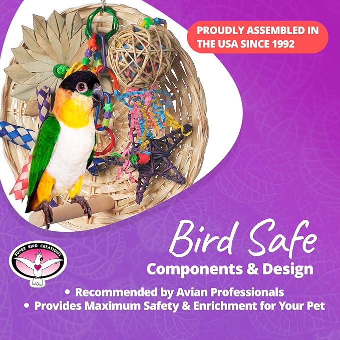 Super Bird Creations SB543 Busy Birdie Play Perch - Foraging Bird Toy, Small & Medium Bird Size - Parakeets, Cockatiels, Small Conures - Interactive Elements - Stimulating Playtime - 9.5" x 9.5" x 6"