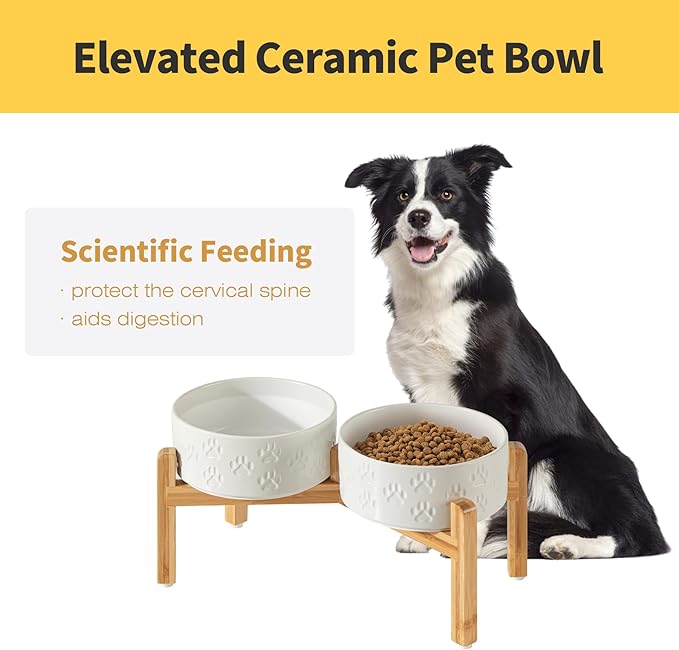 Elevated Ceramic Dog Bowls, 7.3" Dog Dishes with Stand, 5 Cup Elevated Food & Water Bowls for Medium Sized Dogs, Microwave Safe (Double Bowls + Stand - White, 7.3 inch)