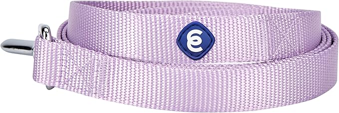 Blueberry Pet Essentials 21 Colors Durable Classic Dog Leash 5 ft x 5/8", Lavender, Small, Basic Nylon Leashes for Dogs