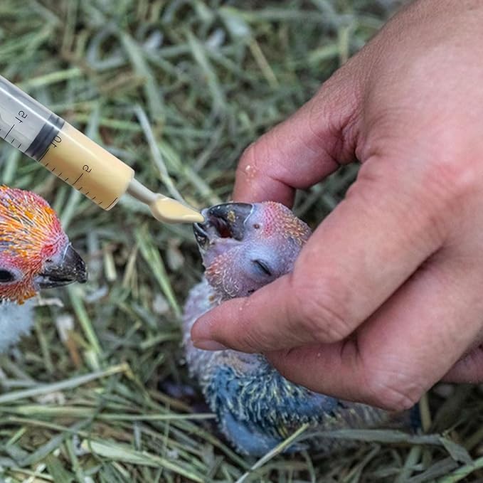 Baby Bird Feeding Syringe Set, Pet Parrot Milk Feeding Syringe with Tubes, Parrot Feeding Feeder Measuring Tools for Feeding Pets Scientific Industrial Labs… (12ml +20ml syringe+50ml Measuring Cup)