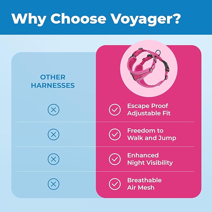 Voyager Escape Proof Cat Harness and Leash Set with Reflective Stitching, Neoprene Handle 5ft - Supports Small, Medium and Large Cats, Kittens for Walking by Best Pet Supplies - Fuchsia, XS