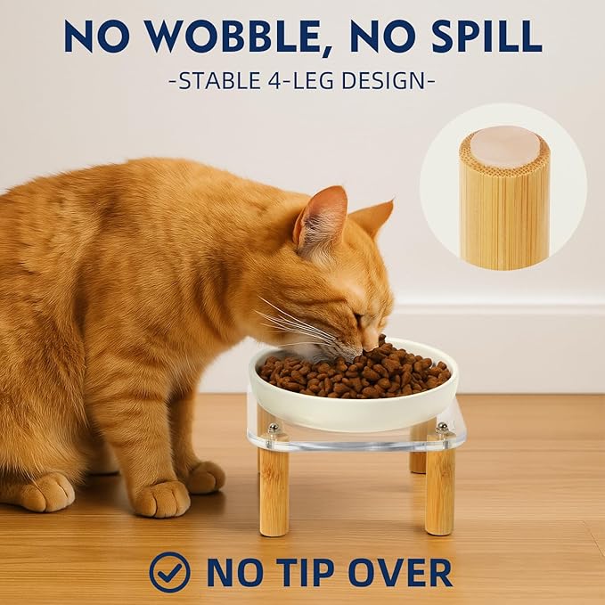 Elevated Cat Bowls for Indoor Cats – Raised Acrylic Cat Bowl Stand with 5.8 Inch Wide Ceramic Dishes, Pet Food Table Plate for Easy Feeding, Whisker Friendly(White,Set of 2)