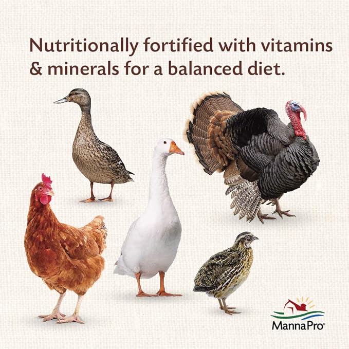 Manna Pro All Flock Crumbles, Crafted with Probiotics for Gut Health & Digestion, 16% Protein for Mixed Flocks with No Artificial Colors or Flavors, Crumbled for Easy Feeding, 8 lbs