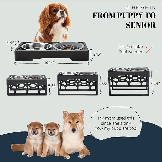 AVERYDAY Small Slow Feeder Dog Bowls Elevated, 4 Height Adjustable Raised Dog Bowl Stand with Stainless Steel Food and Water Bowl, Tall Dogs Feeding Station with Anti-Slip for Small Medium Breeds Dogs
