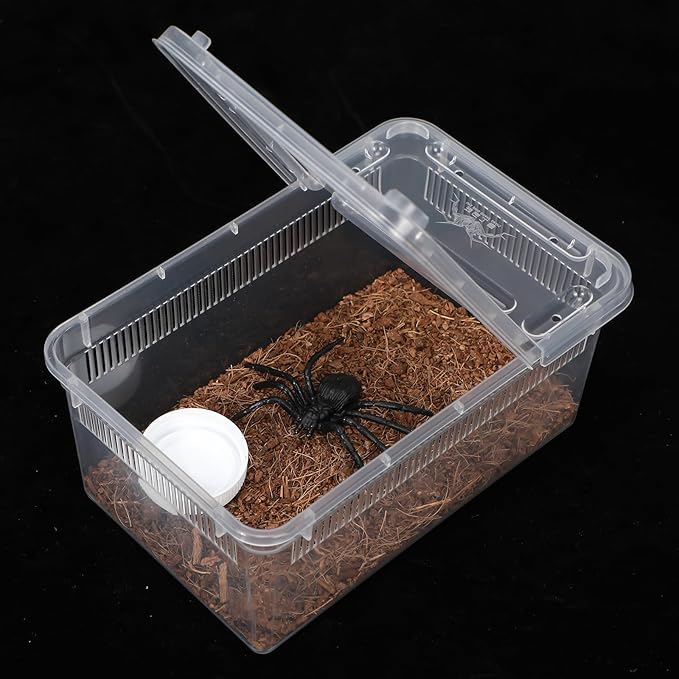 Irenare 8 Pcs Reptile Breeding Breeding Box Plastic Spider Terrarium Tarantula Feeding Box for Bearded Dragon Lizard Spider Gecko Scorpion (Vent Strips,5.9 x 3.9 x 2.5 Inch)