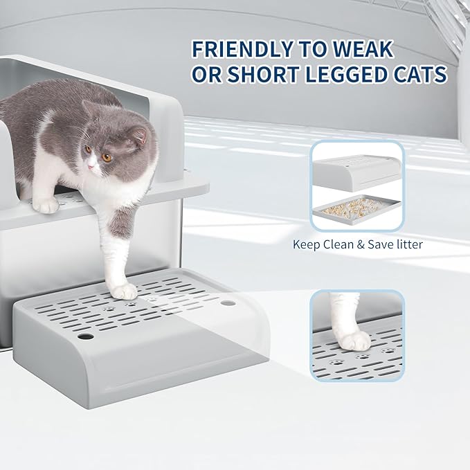 Stainless Steel Cat Litter Box 8 inch, XXL Large Cat Litter Tray with High Side, Platform Step and Scoop for Big Cats Multiple Cats, Easy Clean