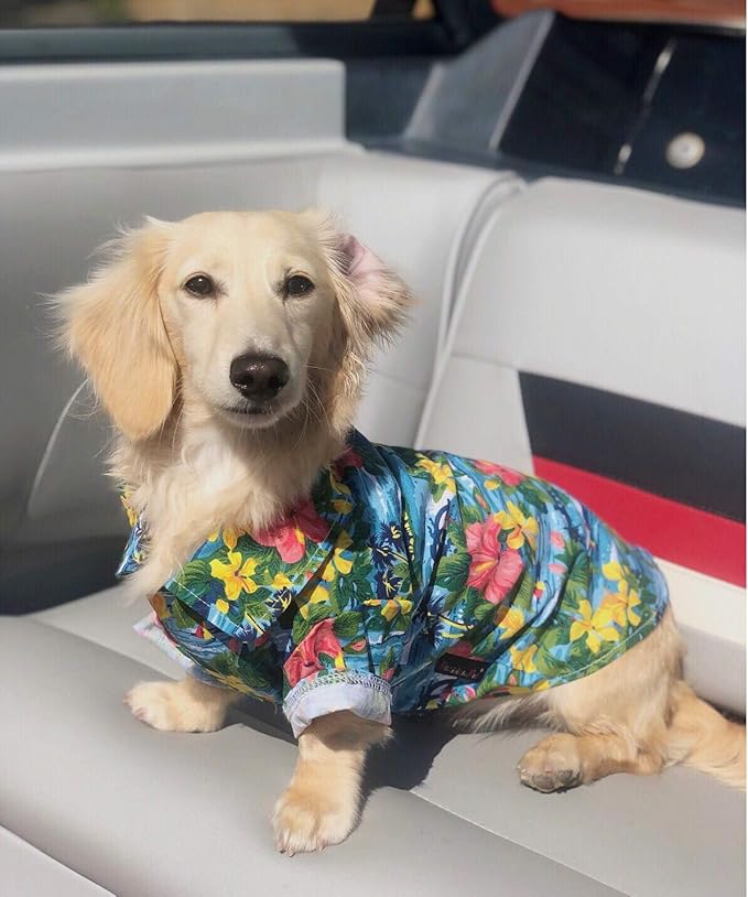 Parisian Pet Hawaiian Dog Shirt - Cotton Summer Clothes - Stylish Beach Outfit - Hook & Loop Closure - Machine Washable - Small Dogs