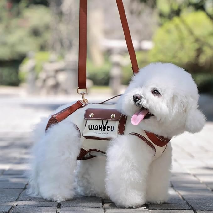 Dog Lift Harness Dog Carrier VES Harness Adjustable Leash with Small Puppy Treat Bag,Fits Most Cars,XS