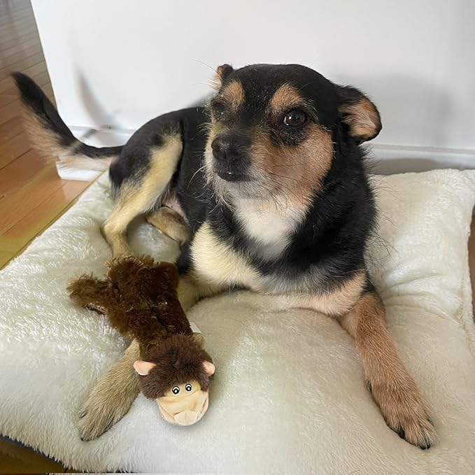 Best Pet Supplies Squeaky Dog Toys with Soft Durable Fabric for Small, Medium and Large Pets Interactive Toy for Indoor Play, Supports Active Biting and Play - Monkey, Small