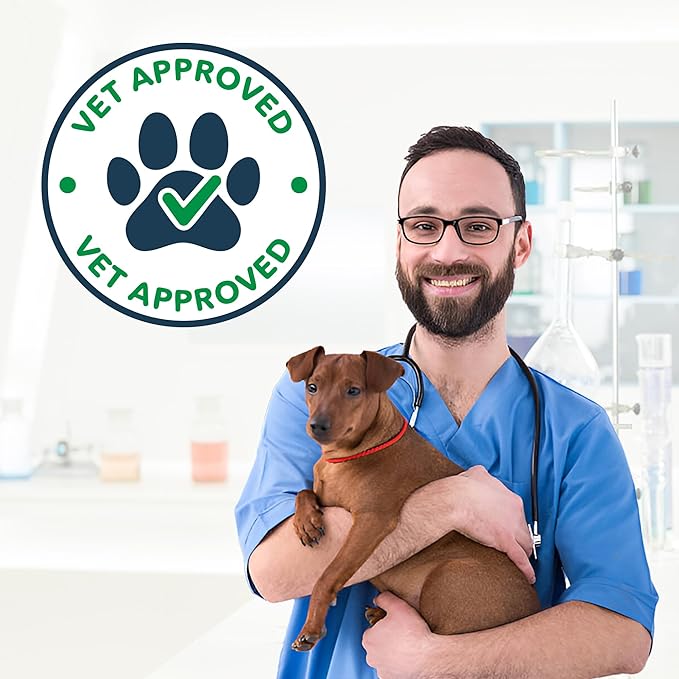 NOVEHA Pet Dental Powder | Vet-Approved Oral Care for Dogs & Cats | Natural Plaque Remover for Dogs Fresh Breath Formula | Easy Teeth Cleaning for Daily Use (2 - Packs)