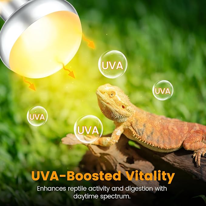 Dual Reptile Light Fixture with 100W Daytime Heat & UVB 10.0 Reptile Bulb, 2 Independent Switches, Reptile UVA UVB Light Combo Pack