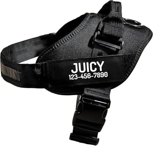 PawPawify Custom No Pull Dog Harness with Name and Phone Number, Heavy Duty Personalized Pet Vest to Prevent Tugging, Pulling, or Choking, Training and Walking (Black, M (Chest 20-24in))