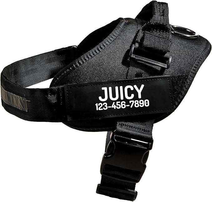 PawPawify Custom No Pull Dog Harness with Name and Phone Number, Heavy Duty Personalized Pet Vest to Prevent Tugging, Pulling, or Choking, Training and Walking (Black, XS (Chest 14-17in))