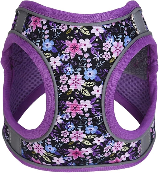 Step in Dog Harness No Pull Flower Adjustable Soft Mesh Padded Reflective Pet Vest Harness and Leash Set for Small Medium Dogs