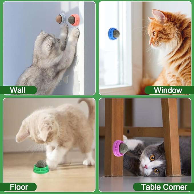 KIMOBER 6 Pack Catnip Ball for Cats,Edible Kitten Chew Toys with Catnip Silvervine Gall Fruit Flavors for Cats Lick Dental Teeth Cleaning Cats Wall Treats