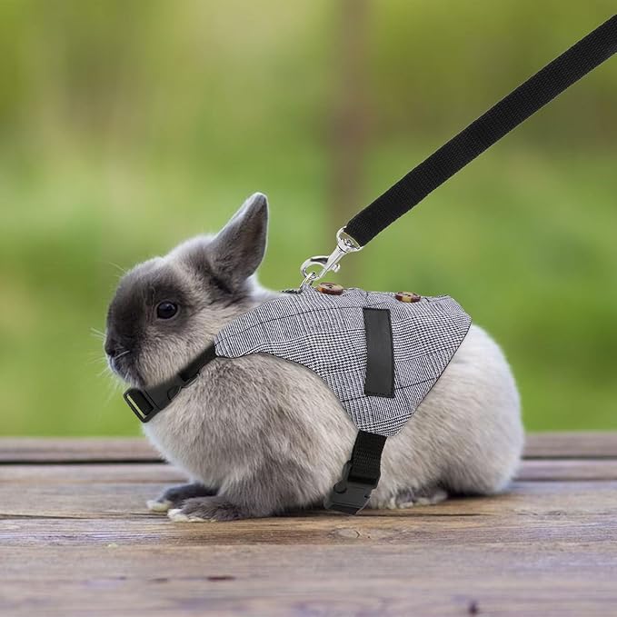 Rabbit Vest Harness and Leash Set Adjustable Formal Suit Style for Bunny Kitten Small Animal Walking (M)