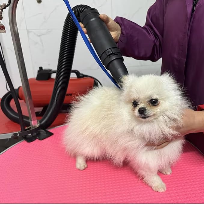 Dog Pet Dryer, 3000W High Velocity Pet Dryer Adjustable Speed Dog Grooming Blower Double Motor, Pet Grooming Hair Drying(4HP), Hot Air Dog Hair Dryer Blower with 2 Nozzle