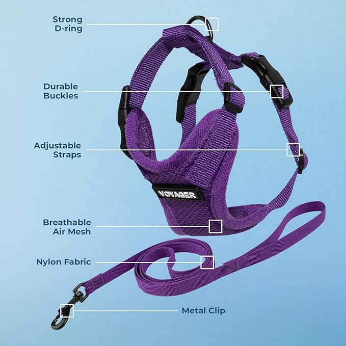Voyager Step-in Lock Adjustable Cat Harness w. Cat Leash Combo Set with Neoprene Handle 5ft - Supports Small, Medium and Large Breed Cats by Best Pet Supplies - Purple, S