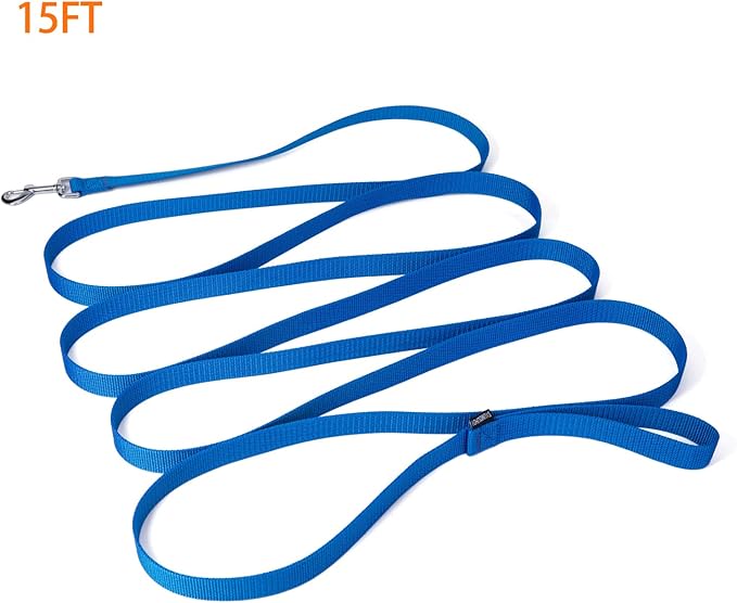 Strong Durable Nylon 15ft Long Dog Training Leash, Traction Rope, 1 Inch Wide, for Small and Medium Dog (Blue, 15 Feet)