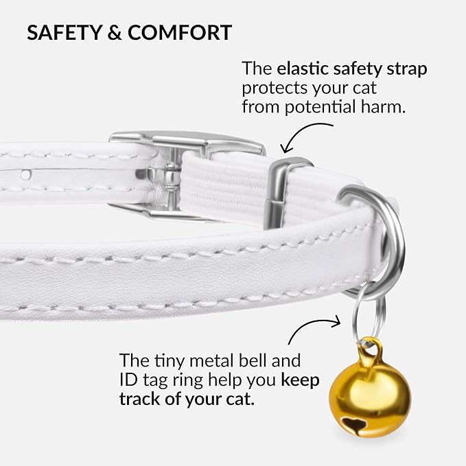 CollarDirect Leather Cat Collar with Bell - Kitten Collar, Small and Big Cat Strap for Boy Cats, Girl Cats with Safety Elastic Strap (Neck Fit 8"-11", White)