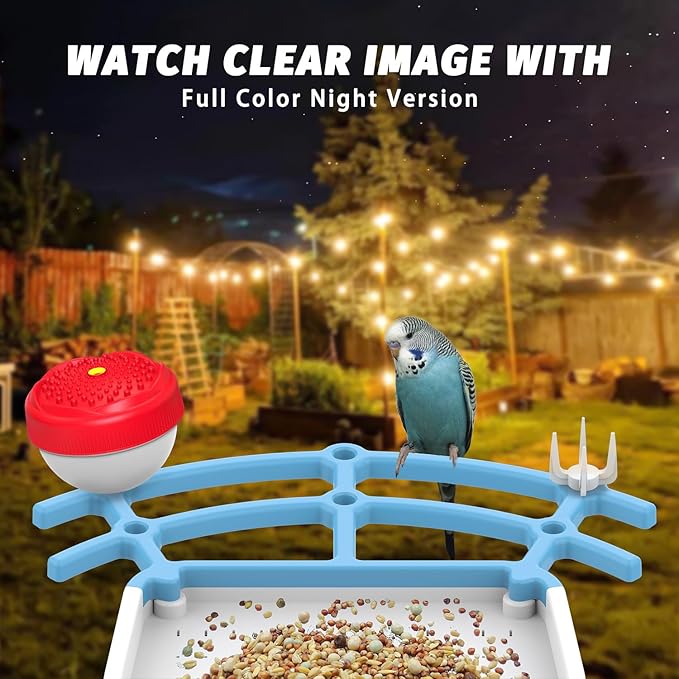 Smart Bird Feeder with Camera, Solar Powered Birds Watching Camera, 2K Night Vsion, AI Identify, Auto Capture & Live Video Watch Birds, Built-in TF, Ideal Gift for Outdoor Bird Watching Lover