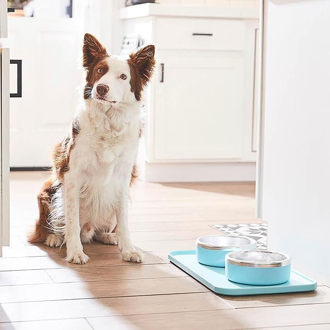 Trot Pets Premium Dog Bowls | Stainless Steel Bowl Set for Small, Medium, or Large Dogs | Non-Slip Food and & Water Slow Feeder | Durable, BPA-Free, Anti-Skid, Dishwasher Safe (Sky, Small)